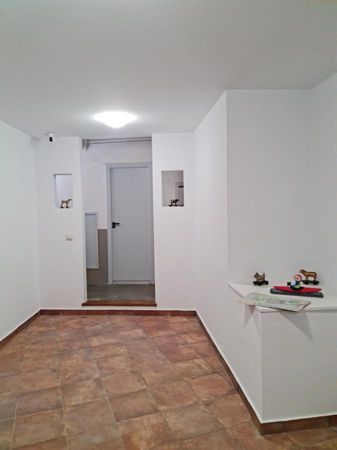 Ca La Maria Appartement La Seu d'Urgell Buitenkant foto